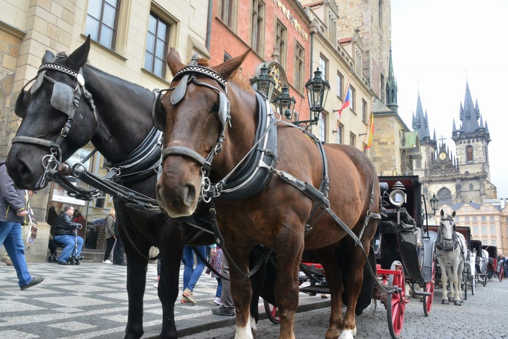 プラハ旧市街広場の馬車