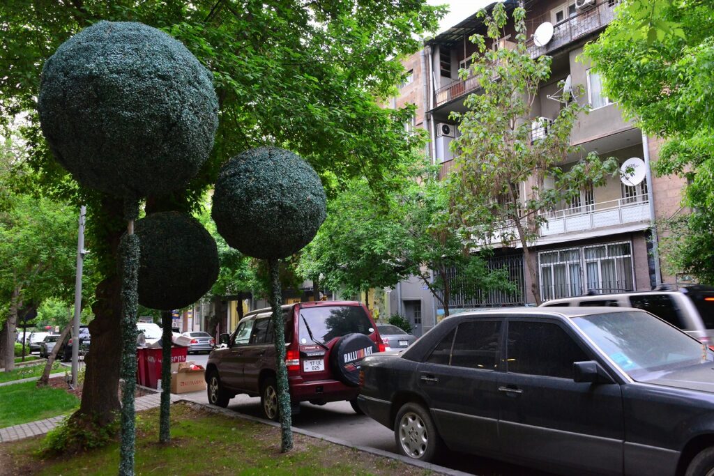 アルメニアの街中の木のような何か